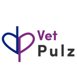 veterinary practice management software