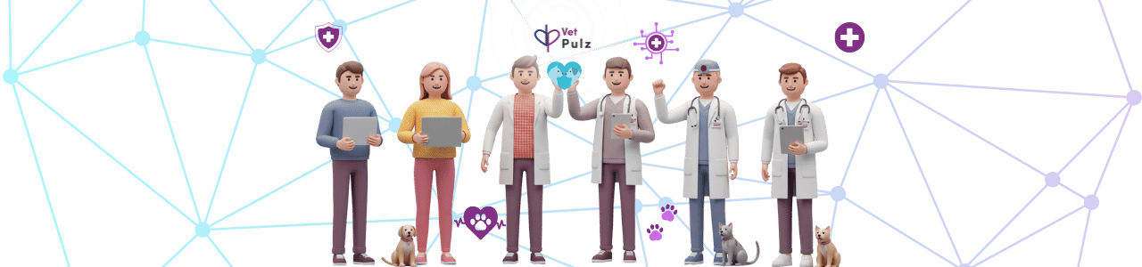Veterinary practice management software